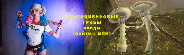 синтетический гашиш Алексин