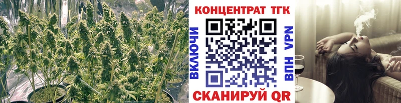 Дистиллят ТГК концентрат  Фёдоровский 
