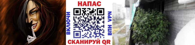 сколько стоит  Фёдоровский  Шишки марихуана SATIVA & INDICA 